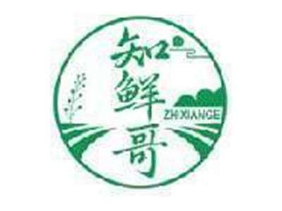 知鲜哥ZHI XIAN GE