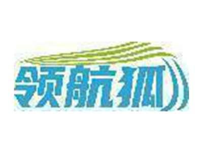 领航狐