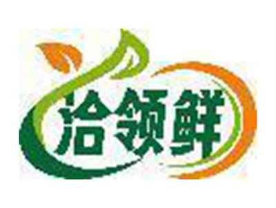 洽领鲜