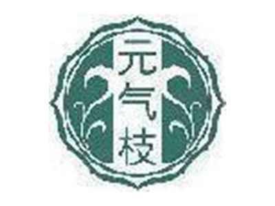 元气枝
