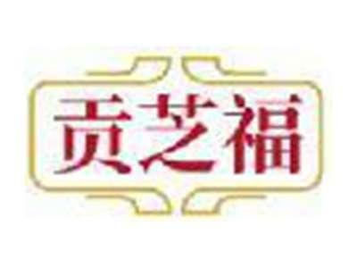 贡芝福
