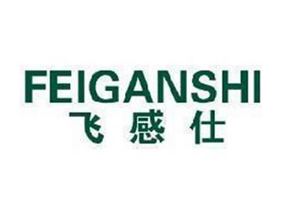 飞感仕