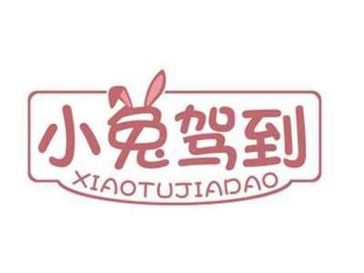 小兔驾到
