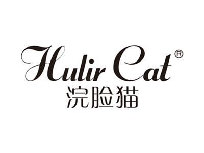 浣脸猫