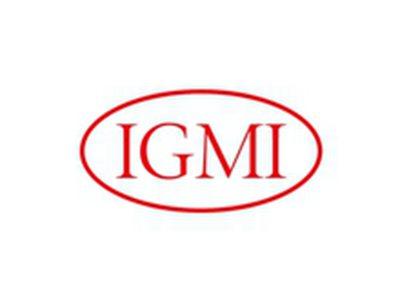 IGMI