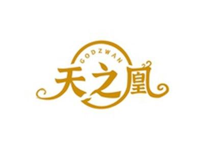 天之凰GODZWAN