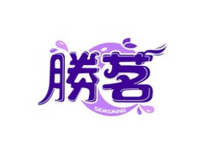 胜茗SEMSMING