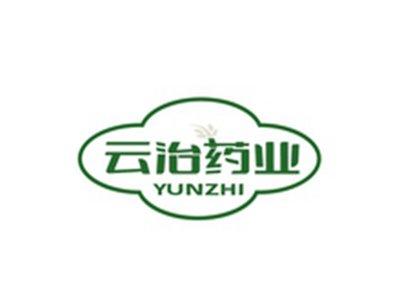 云治药业YUNZHI