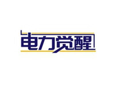 电力觉醒