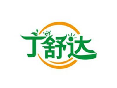 丁舒达