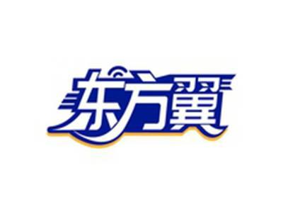 东方翼