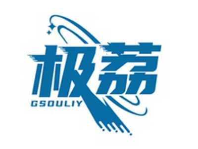 极荔GSOULIY