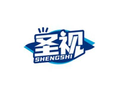 圣视SHENGSHI