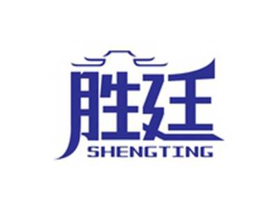 胜廷SHENGYING