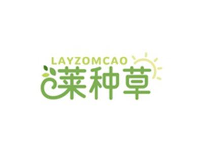 莱种草LAYZOMCAO