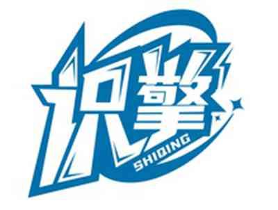 识擎SHIQING