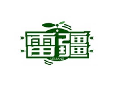 雷疆LEIJIANG