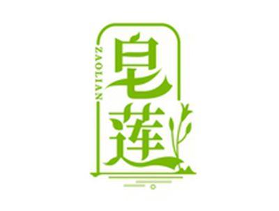 皂莲ZAOLIAN