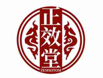 正效堂ZEMSOTOM