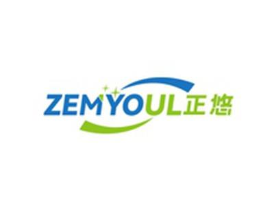 正悠ZEMYOUL