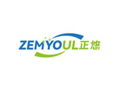 正悠ZEMYOUL