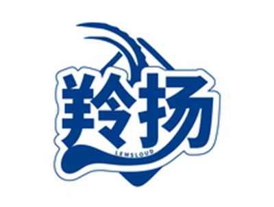 羚扬LEMSLOUD