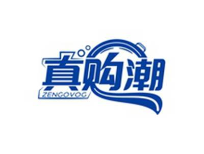 真购潮ZENGOVOG
