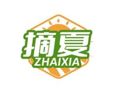 摘夏ZHAIXIA
