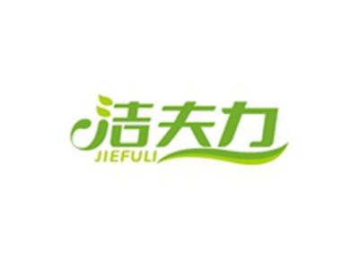 洁夫力JIEFULI