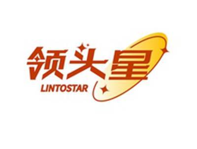 领头星LINTOSTAR