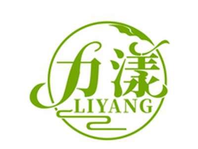 力漾LIYANG