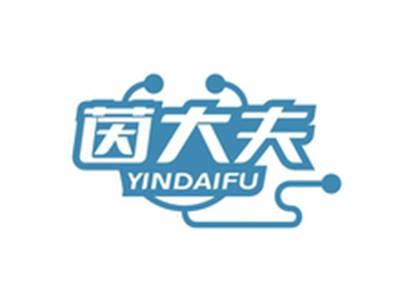 茵大夫YINDAFU