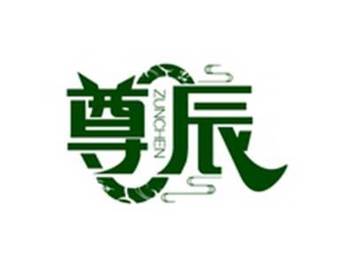 尊辰ZUNCHEN