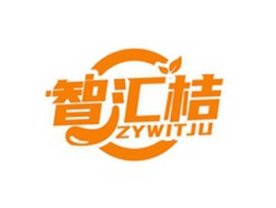 智汇桔ZYWITJU