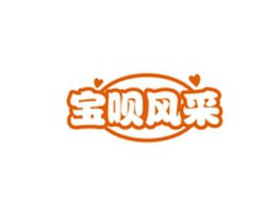 宝呗风采