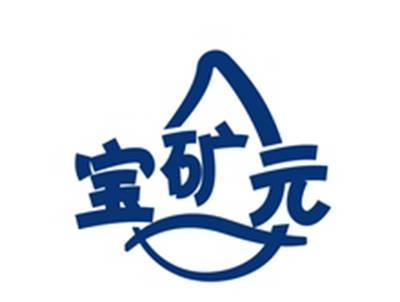 宝矿元