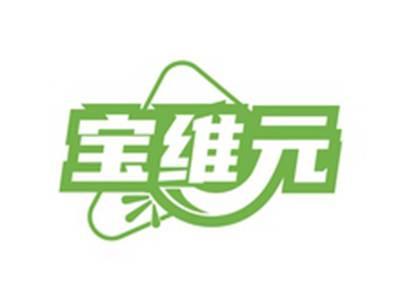 宝维元