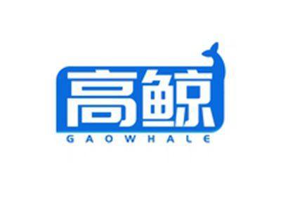 高鲸GAOWHALE