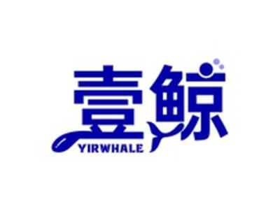 壹鲸YIRWHALE