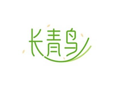 长青鸟