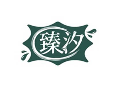 臻汐