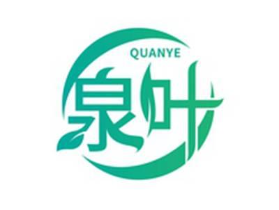 泉叶QUANYE