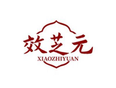 效芝元XIAOZHIYUAN