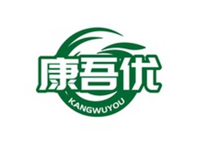 康吾优KANGWUYOU