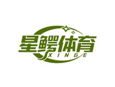 星鳄体育XINGE