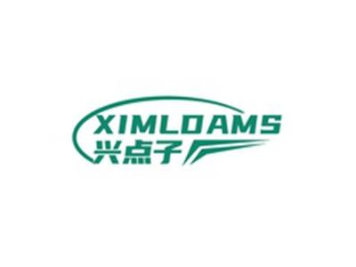 兴点子XIMLDAMS