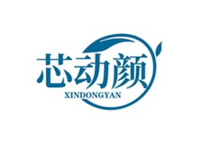 芯动颜XINDONGYAN