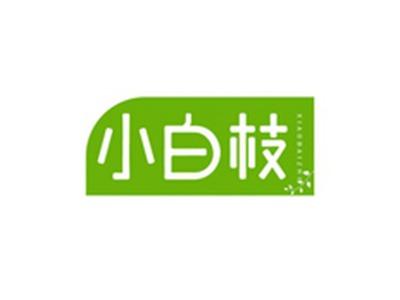 小白枝XIAOBAIZHI