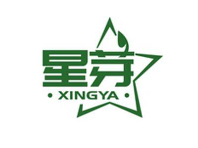 星芽XINGYA