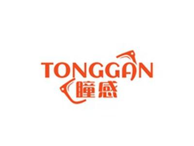 瞳感TONGGAN